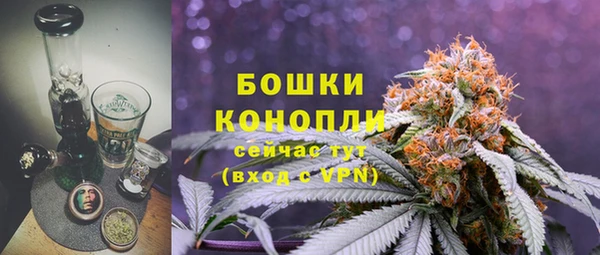 гашик Костерёво