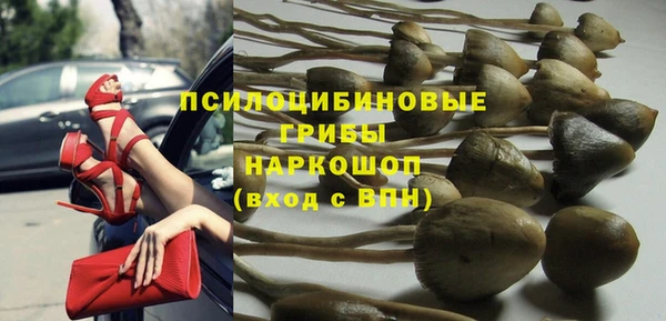 стаф Коряжма