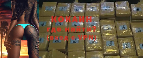 стаф Коряжма