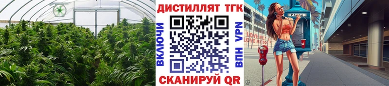 Дистиллят ТГК вейп  Щучье 